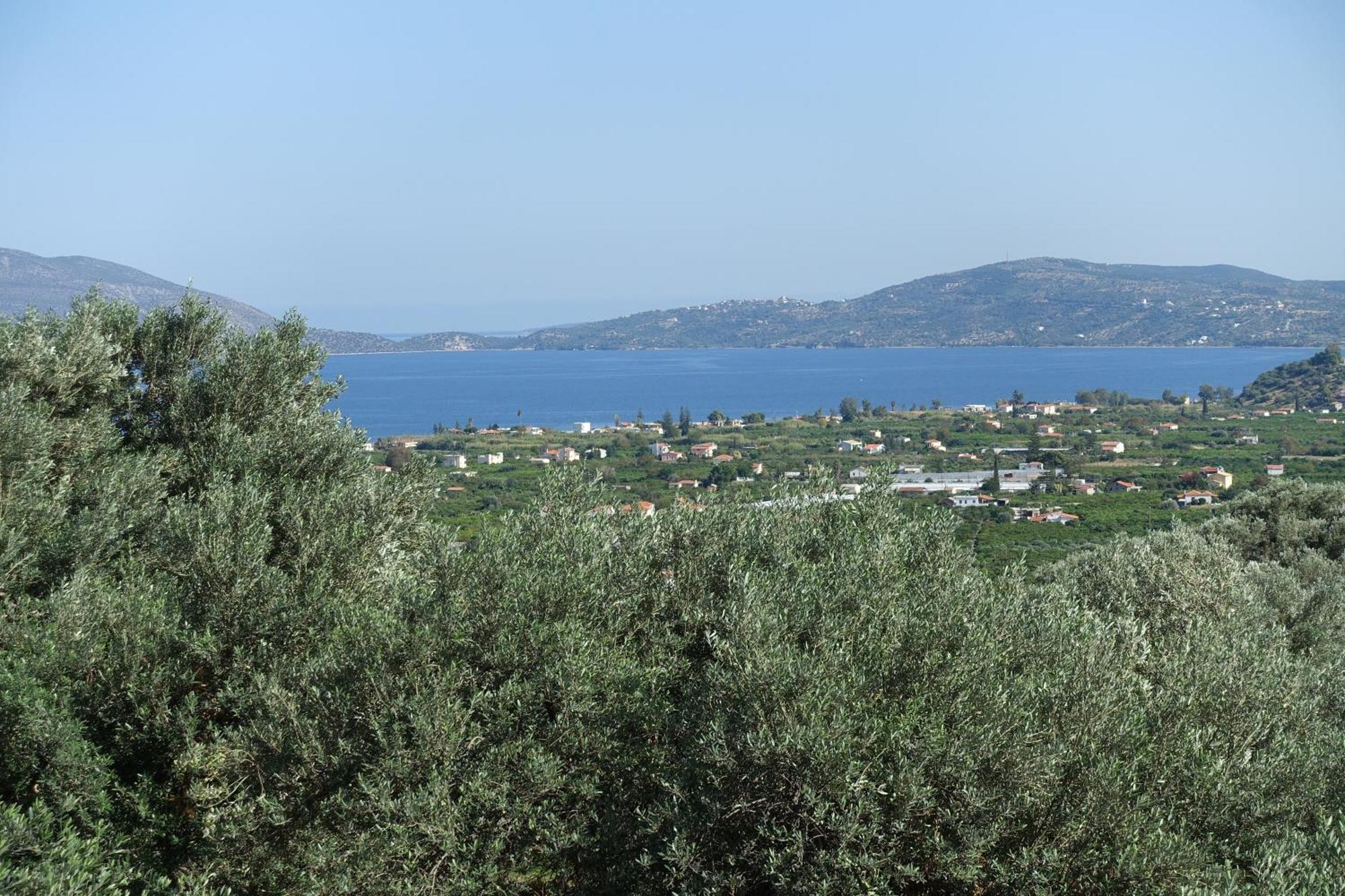 Studio In Villa In Kalloni Direkt Am Meer Buitenkant foto